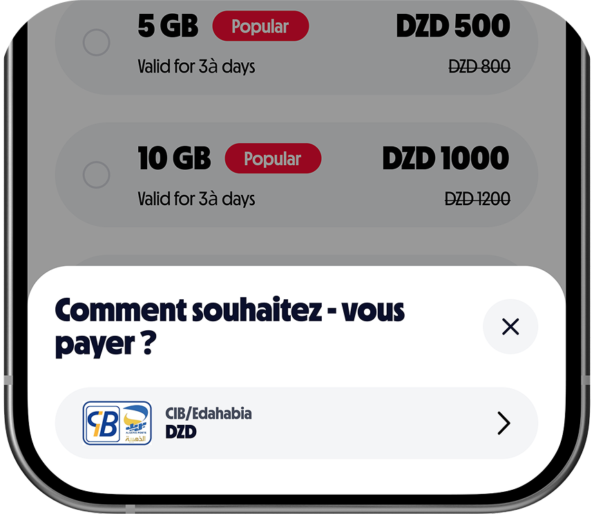 Pay with Miles Preview