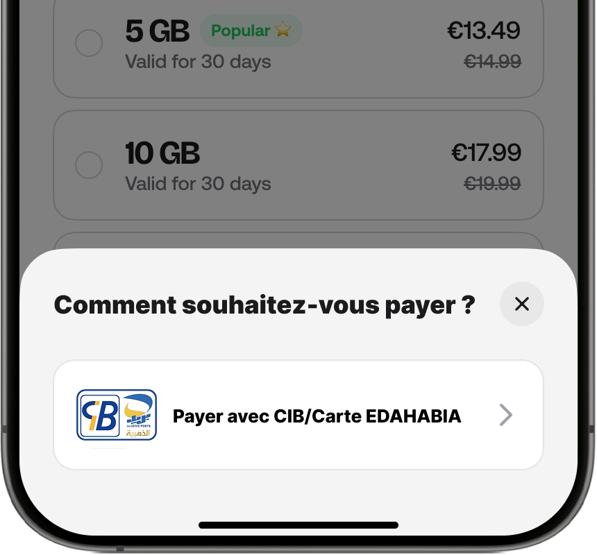 Pay with Miles Preview